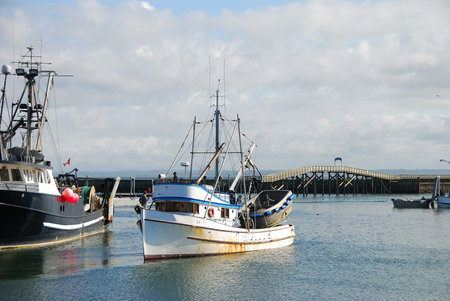 Westport Washington is the northern most part of the Long Beach Penisula in southwest Washington  ...
