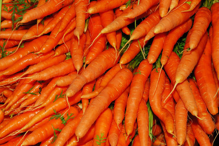 Saturday Farmers Market at Portland State University in the South Park Blocks of the Portland Oregon...