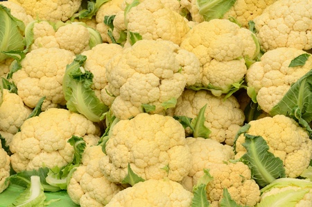 Caluflower heads at the Downtown Portland Oregon farmers market in Park Blocksの写真素材
