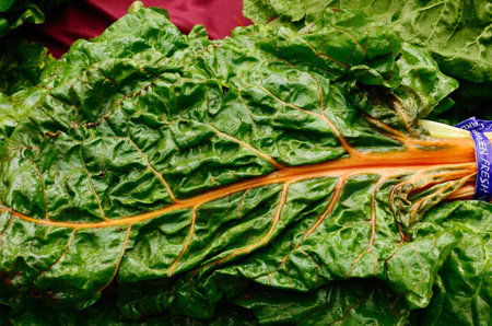 Swiss Chard at a Downtown Portland Oregon farmers market in Park Blocksの写真素材