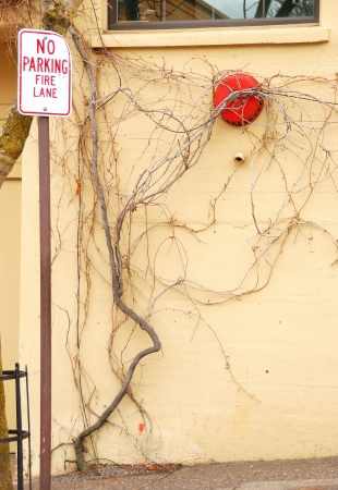 Water Gong and Vines in downtown Ashland OR near the Shakespere Festival grounds の写真素材