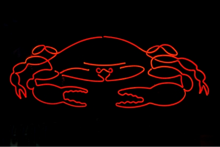 Red crab neon sign isolated on black backgroundの写真素材