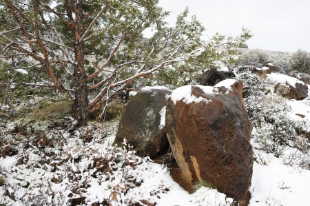 Snow on basalt rock after Freak Snowstorm on Hwy 20 between Burns and Bend Oregonの写真素材
