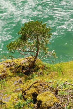 The Narrows of the North Umpqua River just upstream from Idelyle Park near Glide OR along Hwy 138 の写真素材