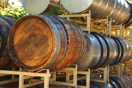Wine barrels waiting to be filled during a Late October harvest of wine grapes at a Umpqua Oregon...