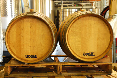 Wine barrels waiting to be filled during a Late October harvest of wine grapes at a Umpqua Oregon...