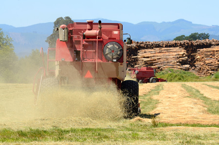 Combine working a newly cut field of summer wheat in the Willamette Valley of Oregonの写真素材