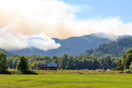 Smoke rises from the Douglas Complex forest fires near Glendale Oregon in steep rugged terrain of the southern coastal range mountainsの写真素材