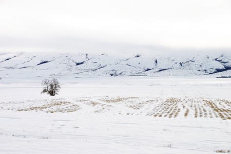 The high desert of central Washington state の写真素材