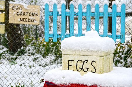Organic fresh farm egg stand in the Umpqua Valley during a winter storm near Roseburg Oregonの写真素材