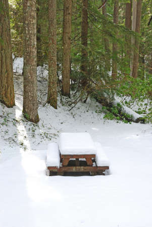 Snow covers a picnic tableの写真素材