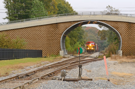 Rail road train coming through a small bridge in rural Louisiana 