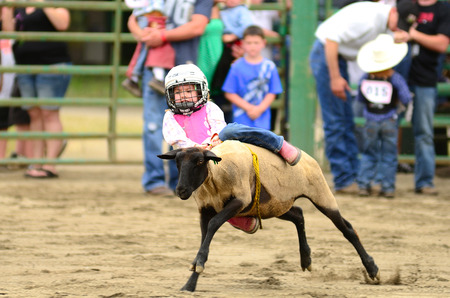 MYRTLE CREEK, OR - JUNE 12  Kids sheep riding event at the South Douglas Rodeo  June 12, 2011 in Myrtle Creek, ORのeditorial素材
