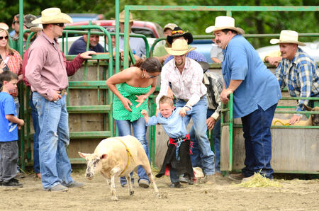 MYRTLE CREEK, OR - JUNE 12  Kids sheep riding event at the South Douglas Rodeo  June 12, 2011 in Myrtle Creek, ORのeditorial素材