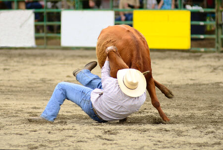 MYRTLE CREEK, OR - JUNE 12  Steer Wrestling event at the South Douglas Rodeo  June 12, 2011 in Myrtle Creek, ORのeditorial素材