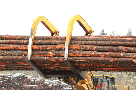 A large log loader moving logs from the yard to the mill in Southern Oregonの写真素材