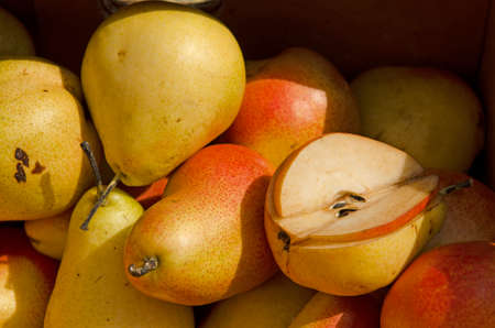 Fresh pears at the local farmers market. Farmers markets are a traditional way of selling agricultural products.の写真素材