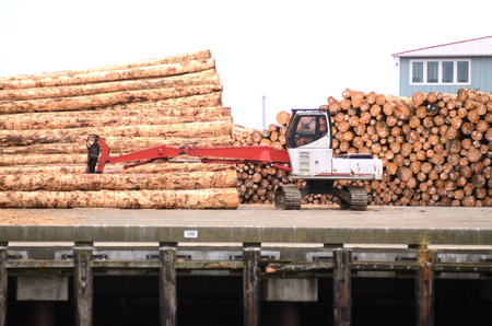 Logs  on a dock in Astoria awaiting export on a shipの写真素材