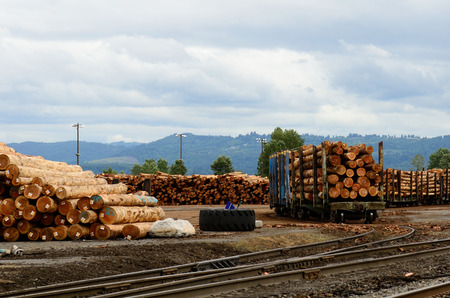 A large log deck at an mill on the Oregon Coast near Astroiaの写真素材