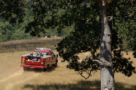 Firefighters working a natural cover fire in grass using brush truck apparatus