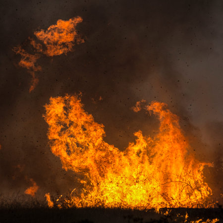 Roseburg, OR, USA - September 04, 2014: Fire fighers work with aviation helicopters to suppress a...
