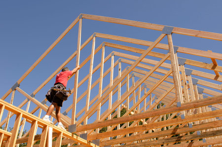 Building contractor carpenter placing new home wood engineered trusses on a residential construction...
