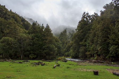 Foggy forest and beautiful river landscapeの写真素材