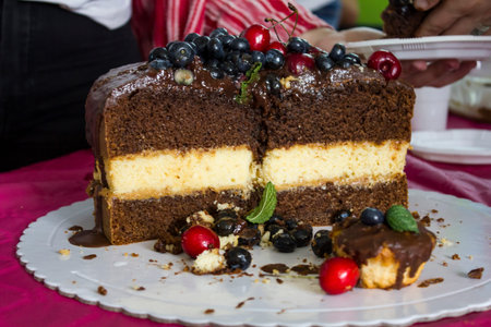 Beautiful layered chocolate cake with red fruits