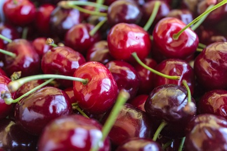 Fresh red cherriesの写真素材