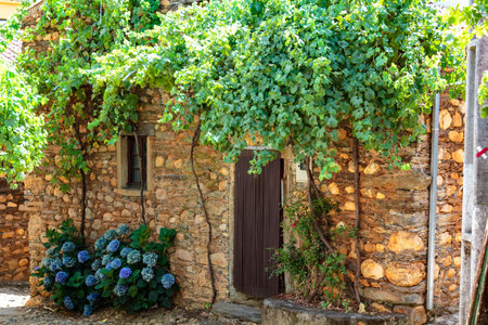 Charming schist house in old village