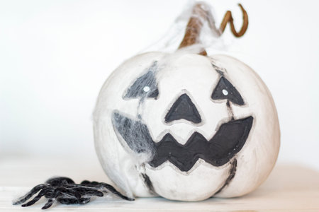 White halloween pumpkin with spider web and spiderの写真素材