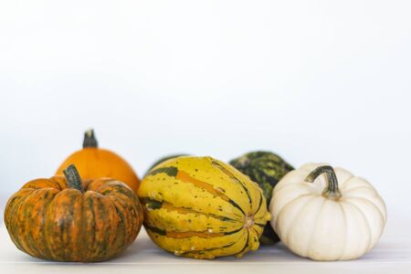 Assortment of pumpkins on white background with copy spaceの写真素材