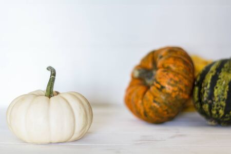 White pumpkin on white wooden table with assortment of pumpkins on the backgroundの写真素材