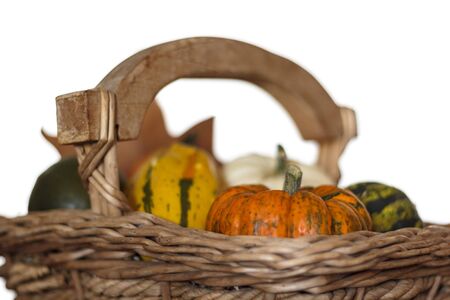 Variety of pumpkins on wicker basketの写真素材