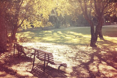 Benches in the autumn parkの写真素材