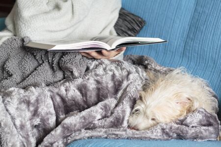 Woman comfortably on sofa covered with a blanket reading a bookの写真素材