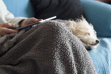 Woman sitting on sofa covered with warm blanket and holding a tablet, and cute dog sleeping by her sideの写真素材