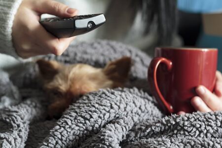 Woman relaxing at home with her pet, holding hot drink and tv remoteの写真素材
