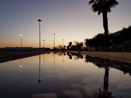 Reflections in the water at dusk. Olive Tree Garden at CCB - Belem Cultural Centerの写真素材