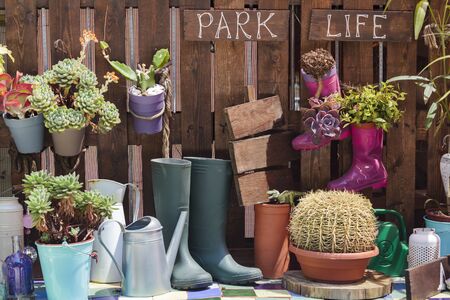 Farm theme decorationの写真素材