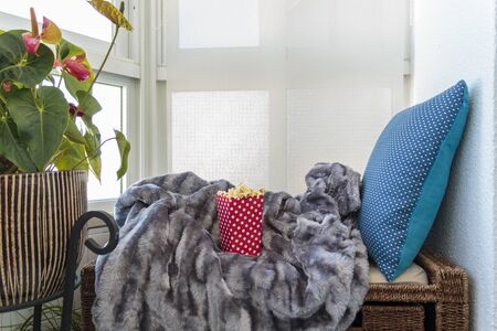 Blanket, box of popcorns and pillow on sofa in the corner in the sunroomの写真素材