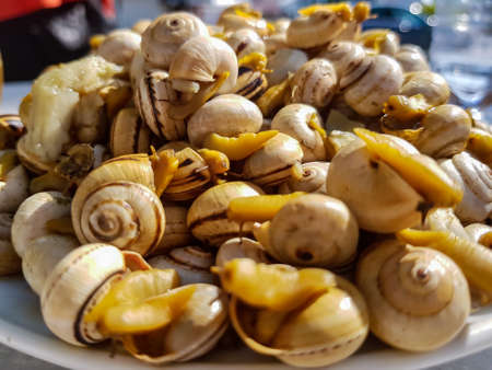 Plate with cooked snails. A Typical portuguese snackの写真素材