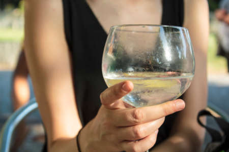 Women holding a glass with gin and tonic drinkの写真素材