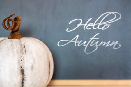White pumpkin in front of blackboard. With the text Hello Autumnの写真素材