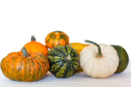 Different kinds of pumpkins on white backgroundの写真素材