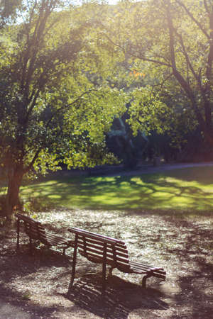 Park benches in the autumnの写真素材