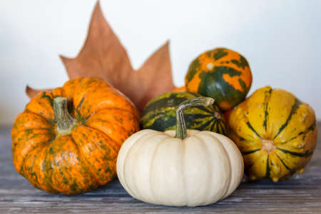 Different kinds of pumpkins on blue wooden tableの写真素材