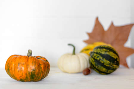 Orange pumpkin with other pumpkins and dry leaf on the backgroundの写真素材