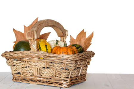 Pumpkins and dry leaves in wicker basket with white background. Autumn conceptの写真素材