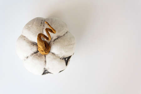 Top view of white halloween pumpkin on white background with copy spaceの写真素材